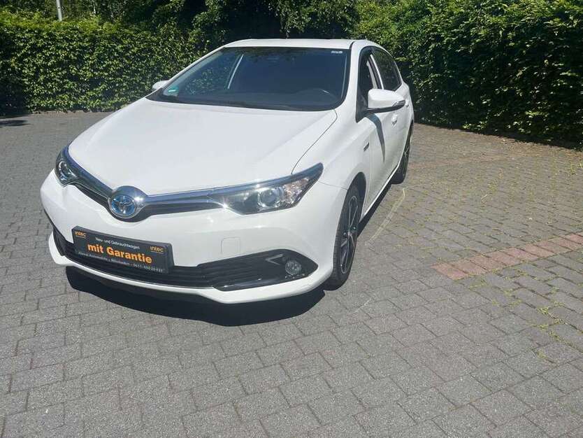 Auris