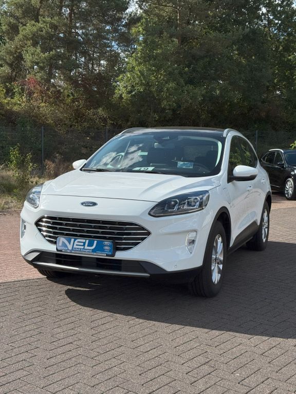 Kuga