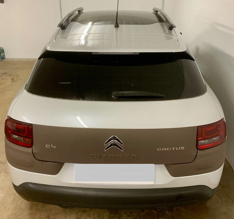 C4 Cactus