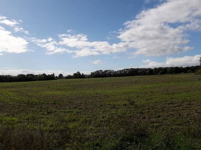 Grundstück Rheinsberg Flecken Zechlin - 83.000&euro; | Angebot:25773093