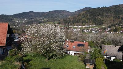 IDYLLE IN NATUR UND STADT - Grundstück Bühlertal | Angebot:27418380