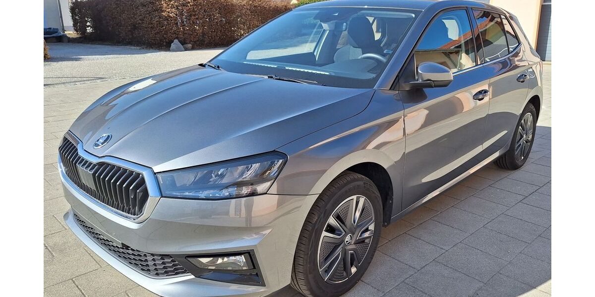 Skoda Fabia 3.872 km 18.900 &euro; Haarbach 94542