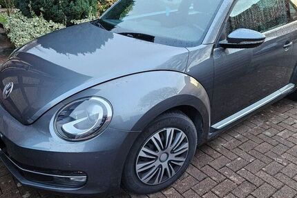VW Beetle