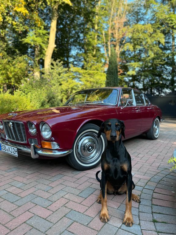 XJ6