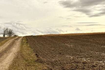 Grundstück Pfeffenhausen / Oberlauterbach Oberlauterbach - 373.050&euro; | Angebot:25252671