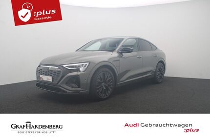 Audi Q8 e-tron 22.000 km 53.680 &euro; Karlsruhe 76131