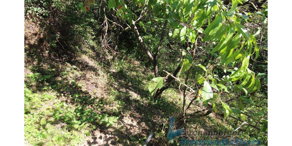 Grundstück Landau an der Isar / Poldering Poldering - 65.000&euro; | Angebot:25684674
