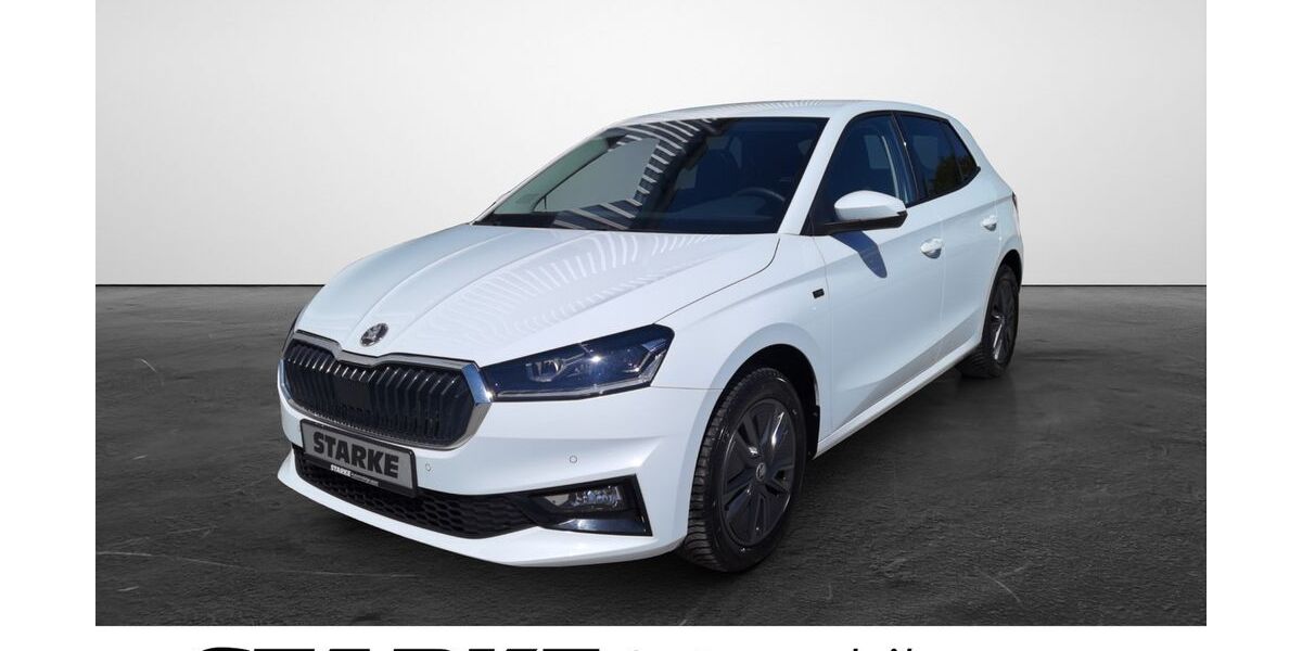 Skoda Fabia 15.742 km 24.830 &euro; Georgsmarienhütte 49124