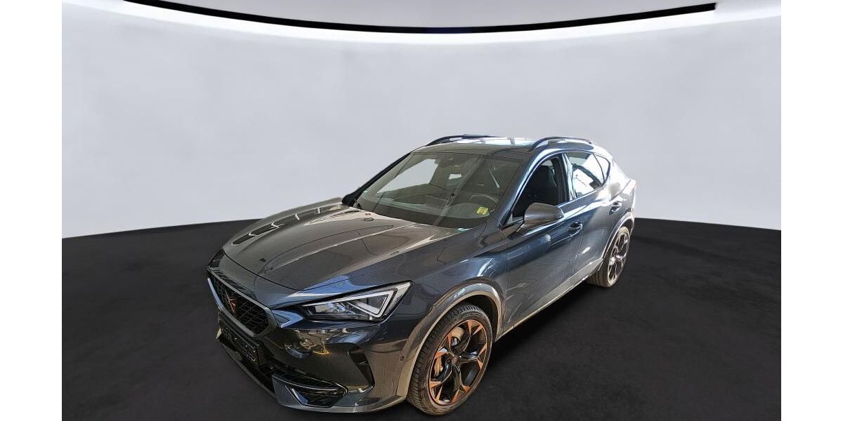 Cupra Formentor 167.672 km 22.990 &euro; Braunschweig 38122
