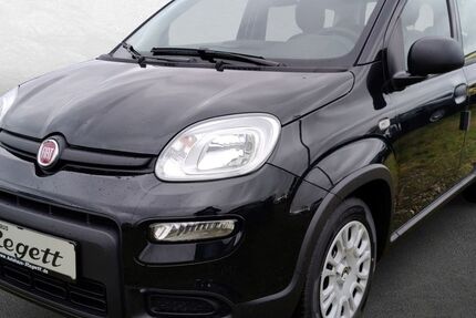 Fiat Panda 7.010 km 15.990 &euro; Delbrück-Westenholz 33129