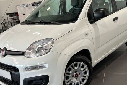 Fiat Panda 41.000 km 9.995 € Bretten 75015
