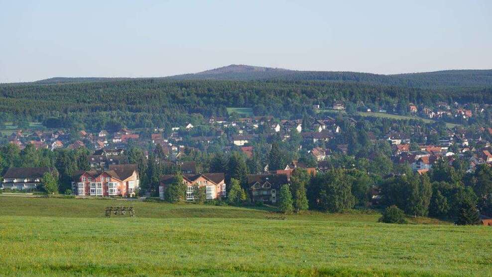Wohnung zum Kaufen in Braunlage 56.000 € 34 m²