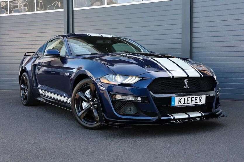 Mustang