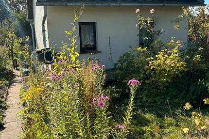 Haus Papendorf - 1 Zimmer, 24 m&sup2;, 10.000&euro; | Angebot:26941085