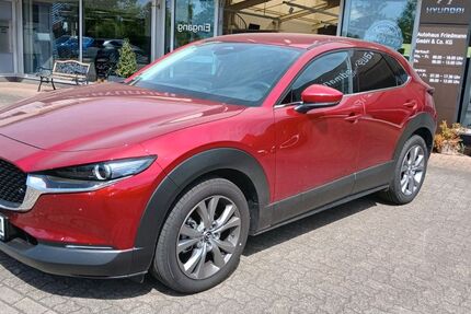 Mazda CX-30 5.500 km 31.490 &euro; Steinfeld 76889