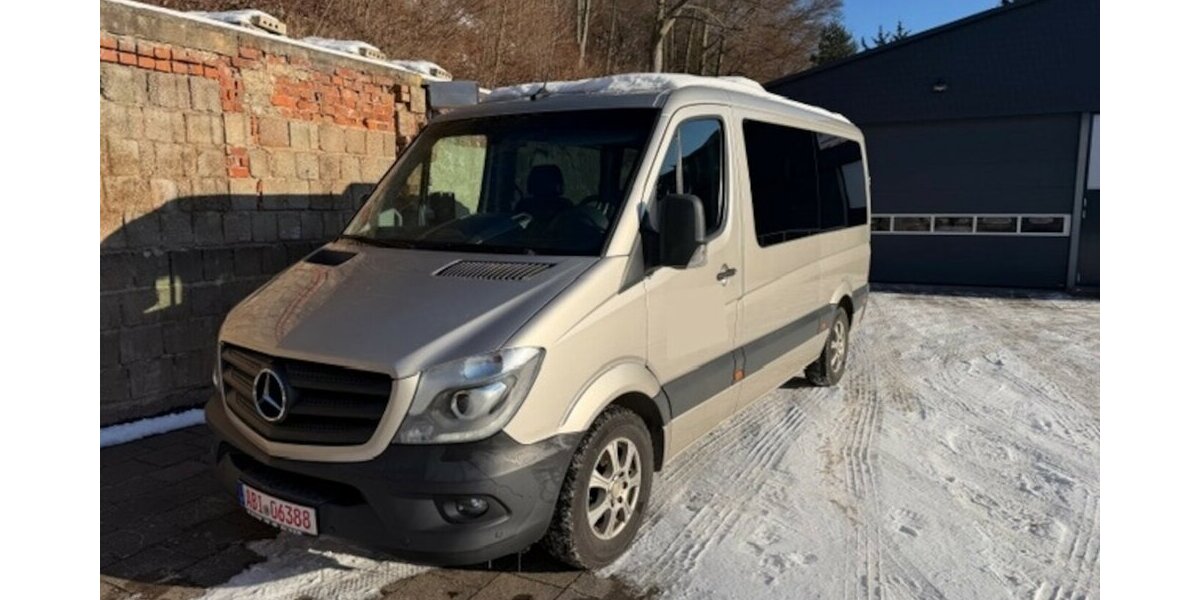 Mercedes-Benz Sprinter 319 CDI V6 9 Sitzer mit Dachklima 293.500 km 22.015 &euro; Muldestausee 06774