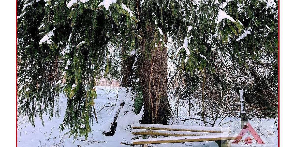 Grundstück Medebach / Oberschledorn Oberschledorn - 75.000&euro; | Angebot:25190869