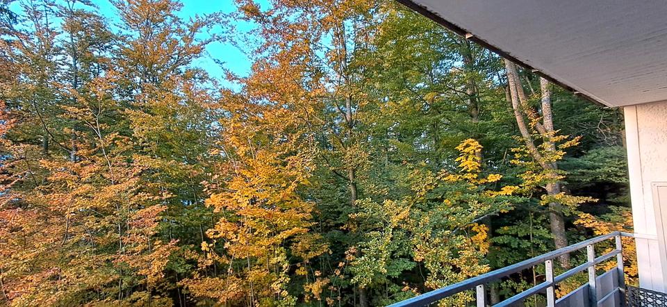 Etagenwohnung Freyung - 1 Zimmer, 38 m&sup2;, 69.000&euro; | Angebot:25294818