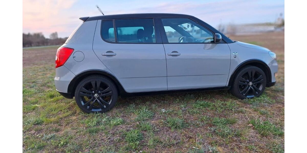 Skoda Fabia 164.000 km 6.000 &euro; Groß Godems 19372