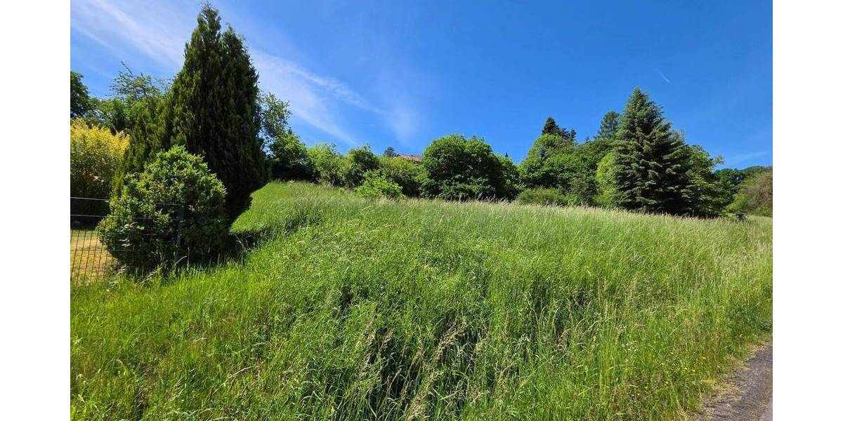 Grundstück Schlitz - 55.000&euro; | Angebot:26787392