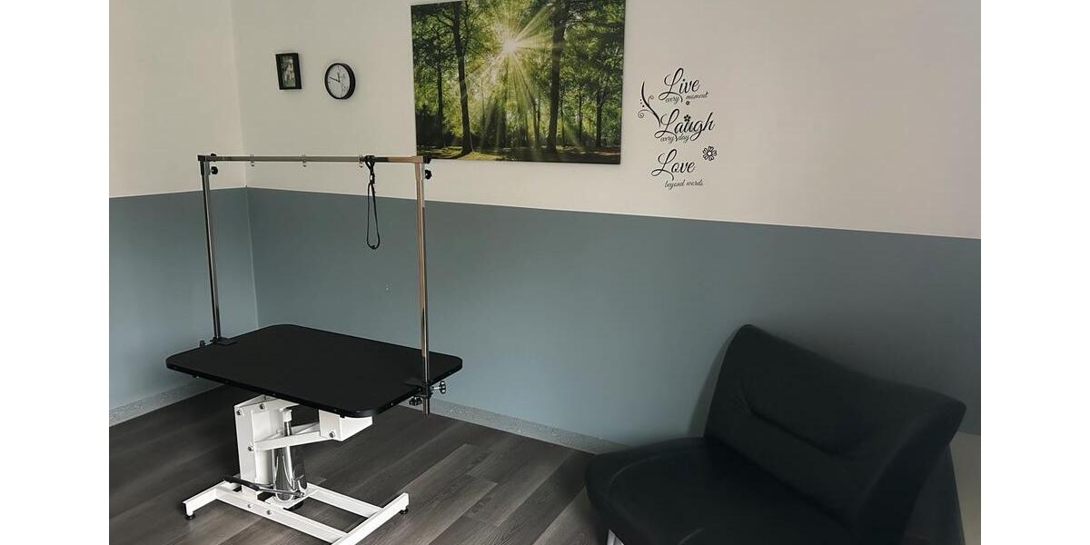 Gewerbeobjekt Wietmarschen - 350&euro; | Angebot:24655585