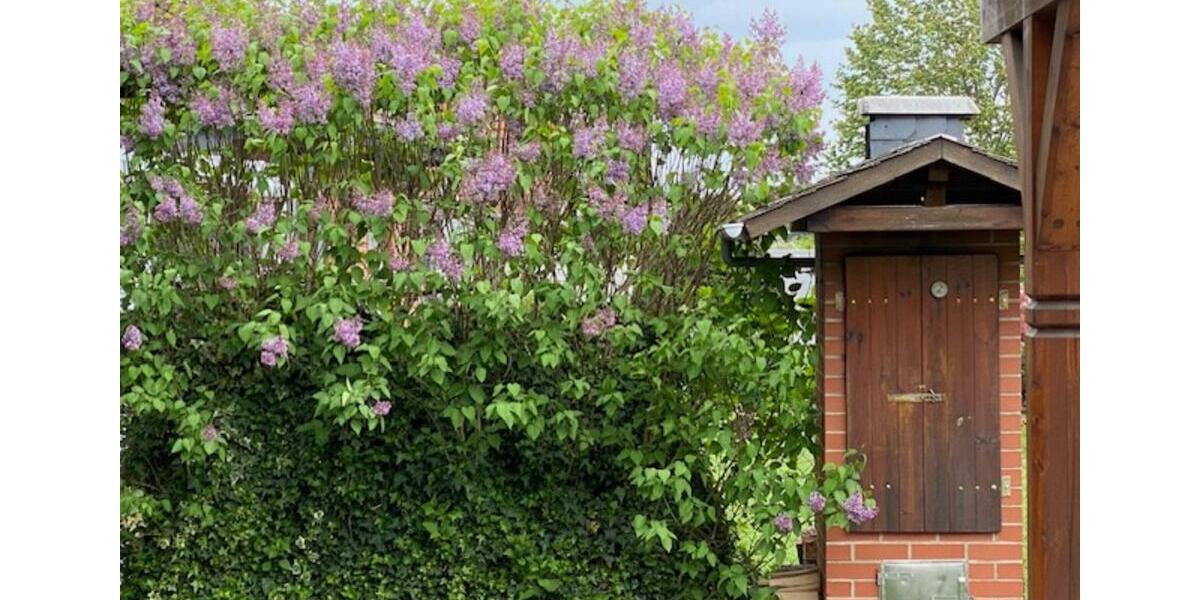 Einfamilienhaus Rühen - 6 Zimmer, 216 m&sup2;, 497.000&euro; | Angebot:25377847