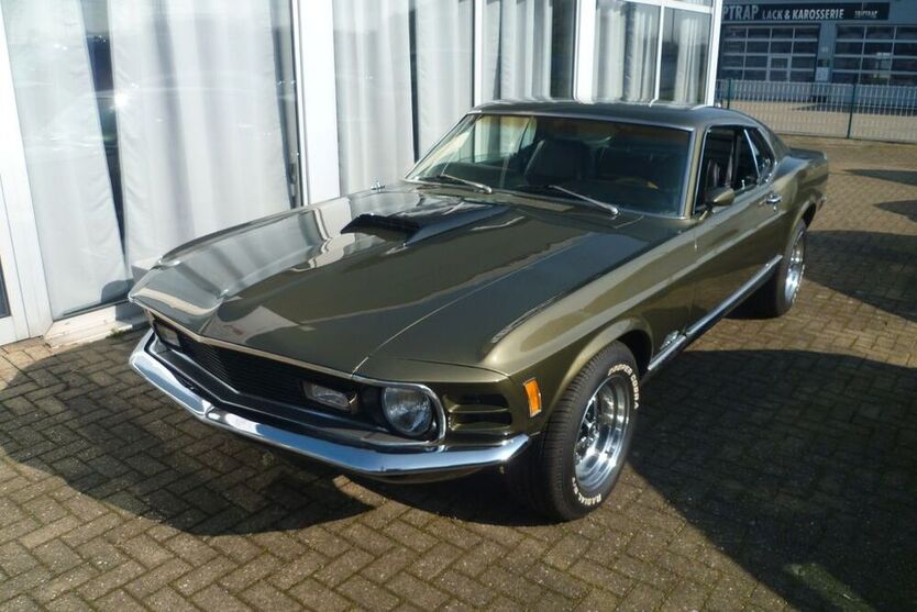 Mustang