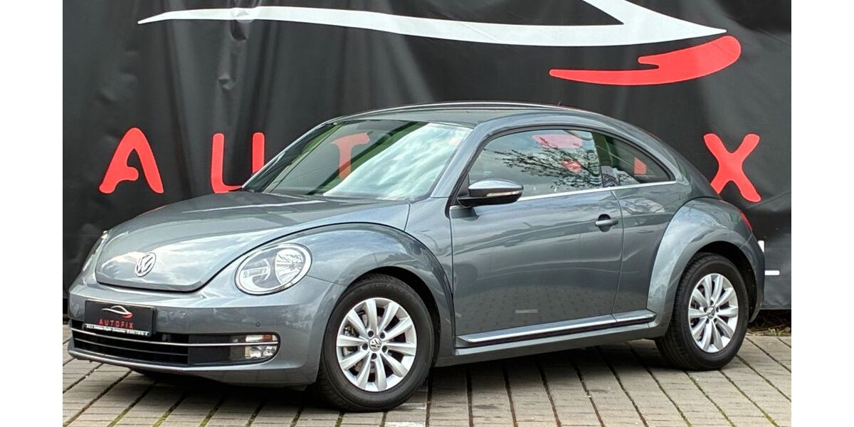 VW Beetle 140.000 km 7.600 &euro; Mühlheim am main 63165