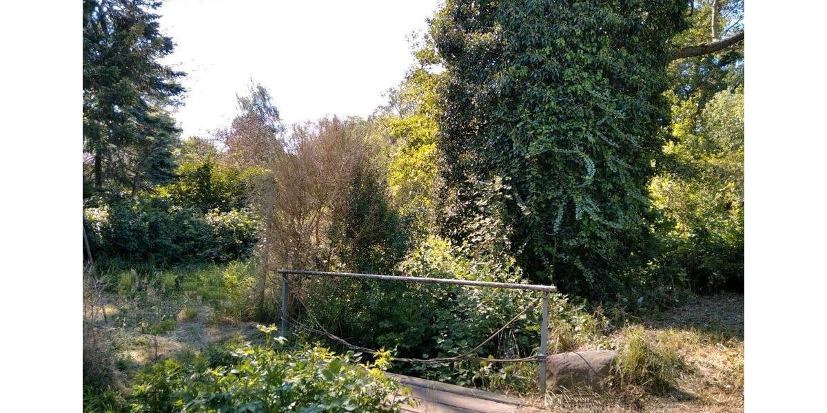 Einfamilienhaus Bad Schmiedeberg - 75.000&euro; | Angebot:26935781