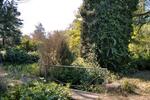 Einfamilienhaus Bad Schmiedeberg - 75.000&euro; | Angebot:26935781