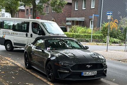 Ford Mustang 55.000 km 21.900 &euro; Oberhausen 46147