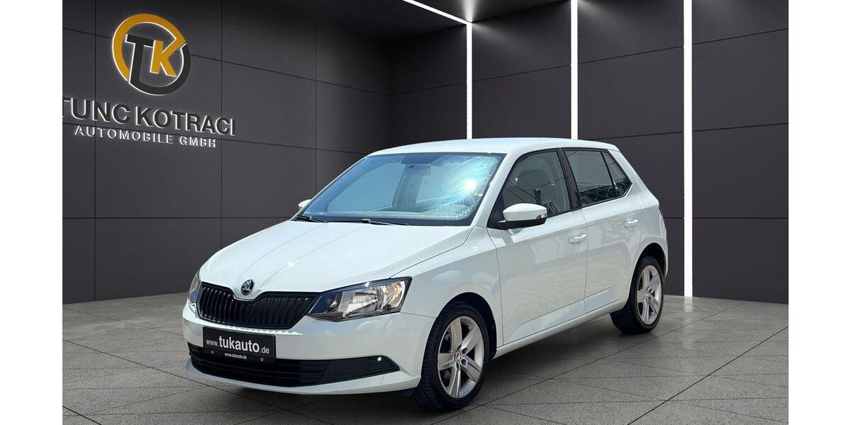 Skoda Fabia 99.500 km 7.250 &euro; Nürtingen 72622