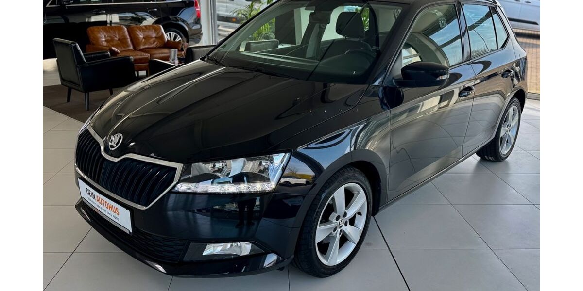 Skoda Fabia 116.000 km 9.970 &euro; Bad Doberan 18209