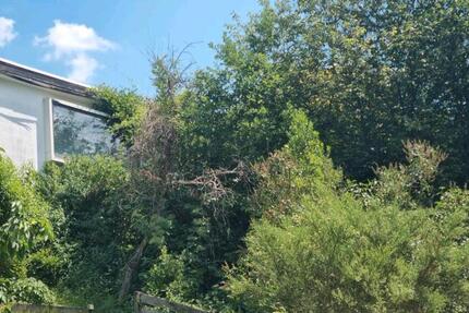 Haus Baiersbronn - 7 Zimmer, 160 m&sup2;, 195.000&euro; | Angebot:26961294