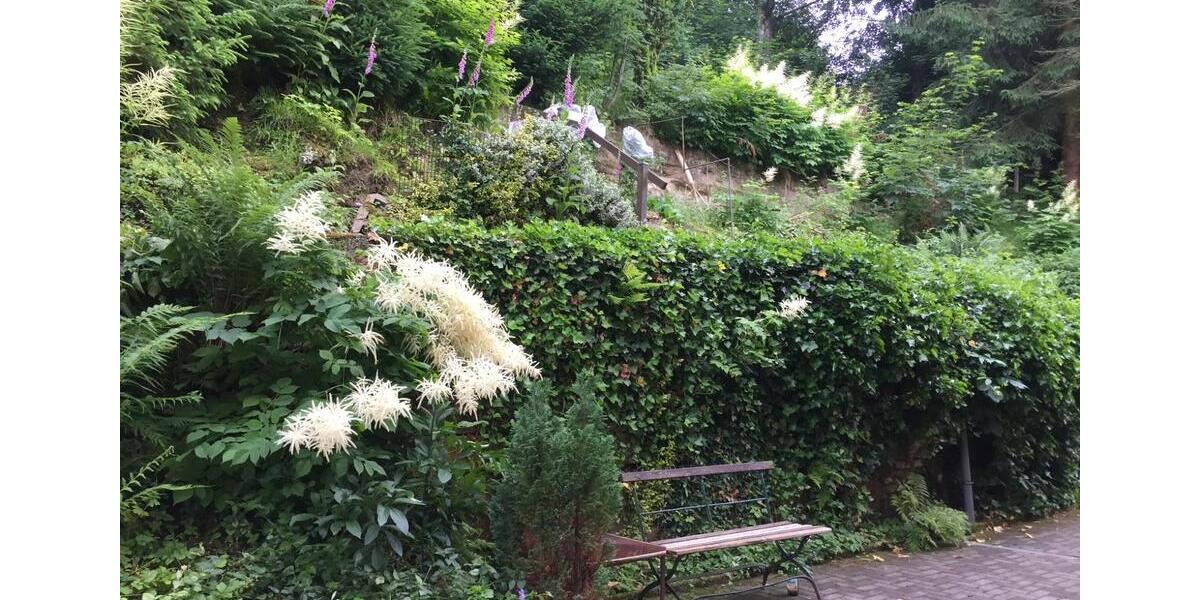 Etagenwohnung Sebnitz - 3 Zimmer, 63 m&sup2;, 410&euro; | Angebot:26367303