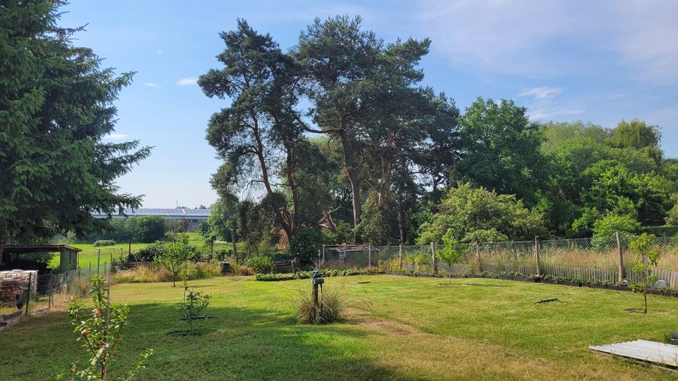 Doppelhaushälfte Wriezen - 209.000&euro; | Angebot:26956134