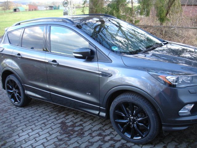 Kuga