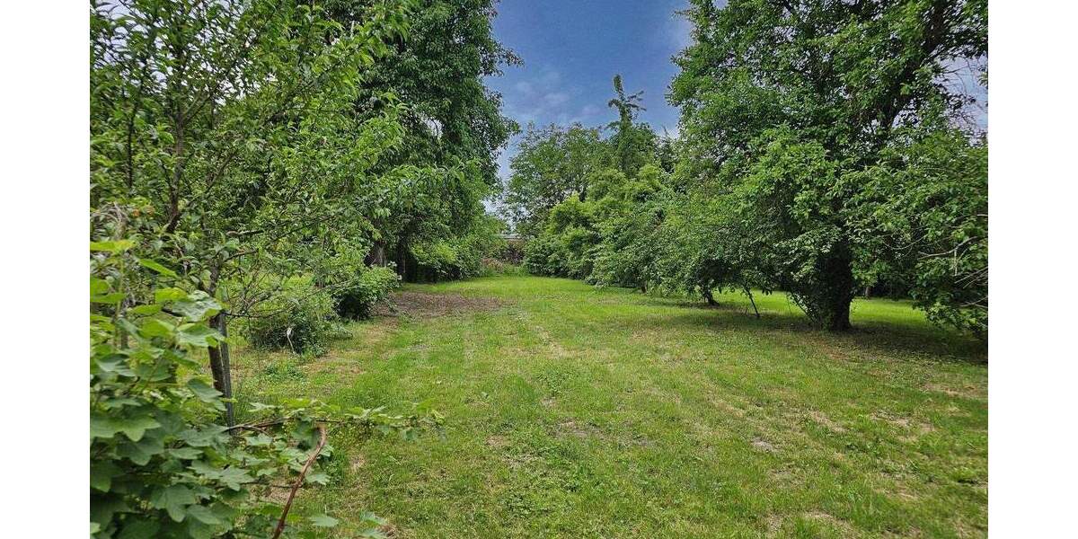 Bauernhaus, Landhaus Usedom Gellenthin - 8 Zimmer, 299 m&sup2;, 595.000&euro; | Angebot:25779453