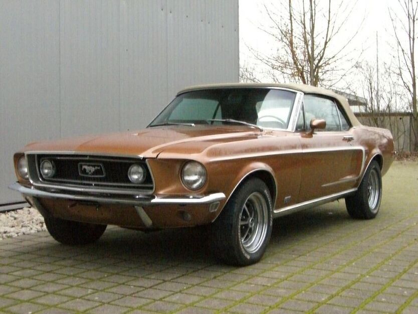 Mustang