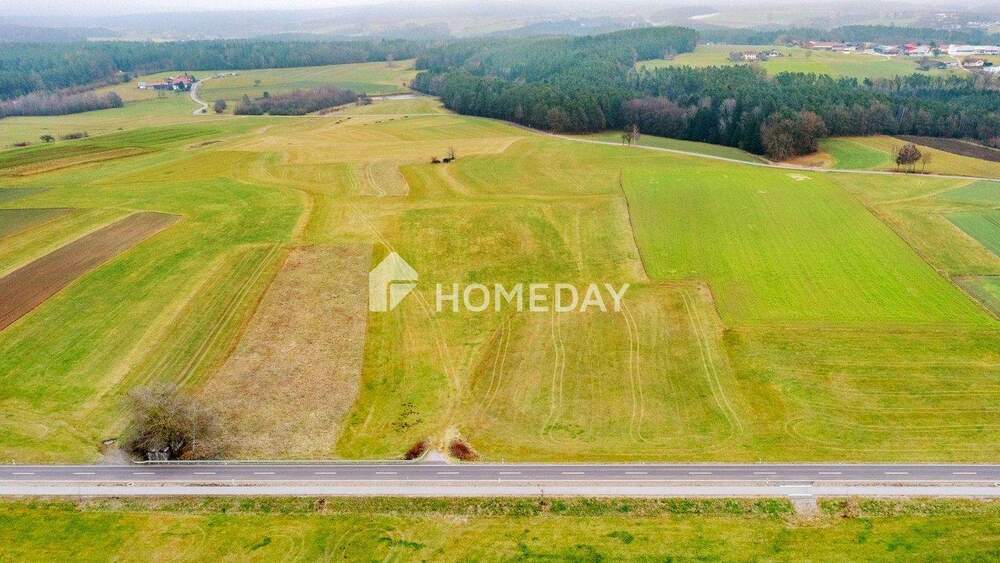 Grundstück Walderbach - 98.000&euro; | Angebot:24846243