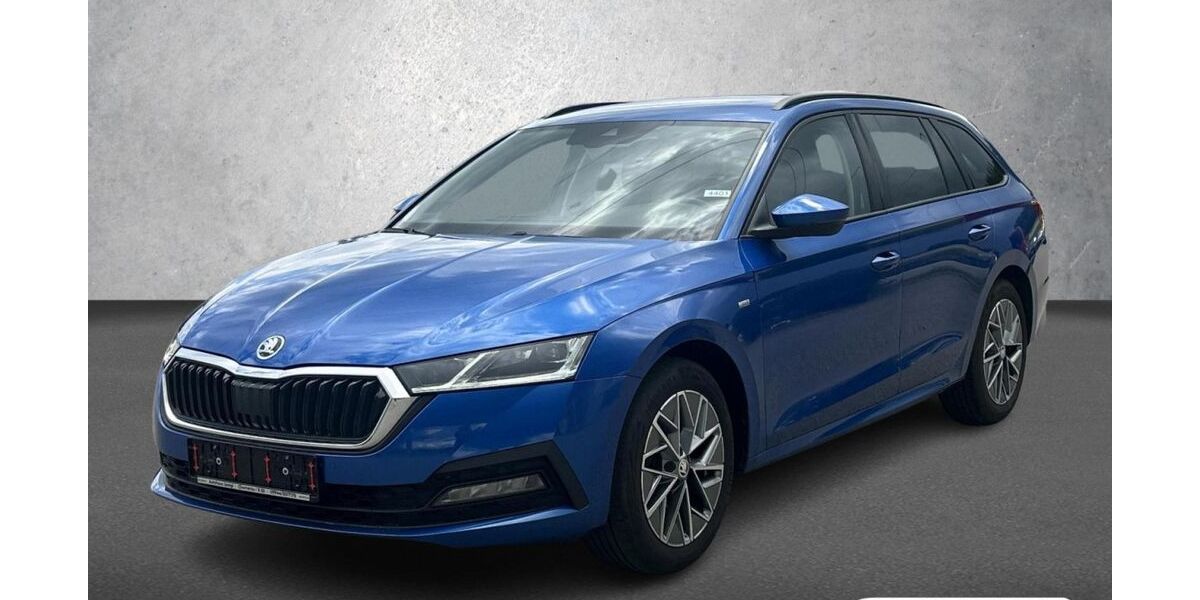 Skoda Octavia 122.700 km 20.490 &euro; Chamerau 93466