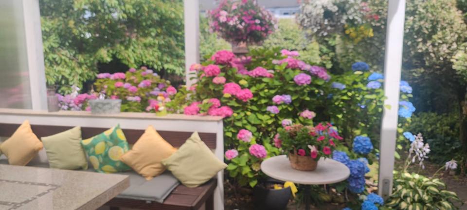 Einfamilienhaus Nienburg (Weser) - 4 Zimmer, 140 m&sup2;, 429.000&euro; | Angebot:26997300