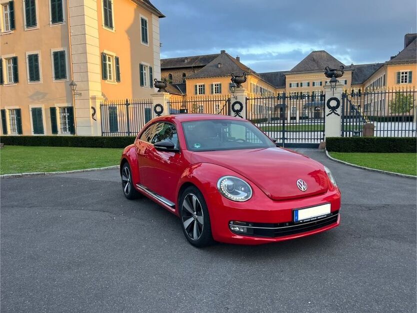 Beetle
