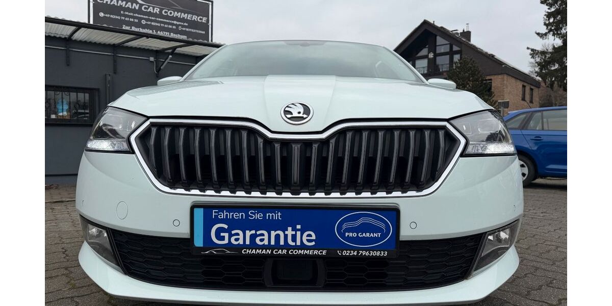 Skoda Fabia 134.300 km 8.600 &euro; Bochum 44791