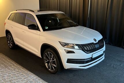 Skoda Kodiaq 144.930 km 29.990 &euro; Schapen 48480