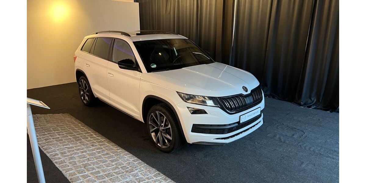 Skoda Kodiaq 144.930 km 29.990 &euro; Schapen 48480