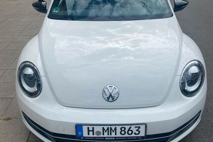 VW Beetle