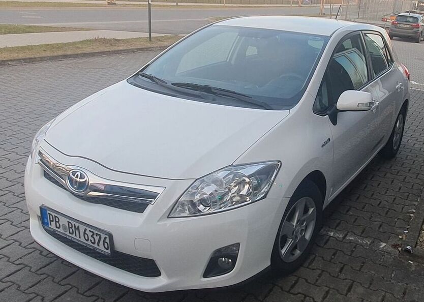 Auris