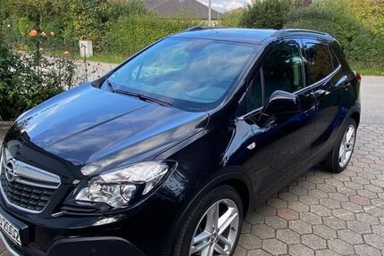 Opel Mokka 79.000 km 12.000 € Mötzing 93099