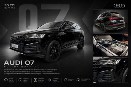 Audi Q7 115.000 km 40.000 &euro; Selters-Eisenbach 65618